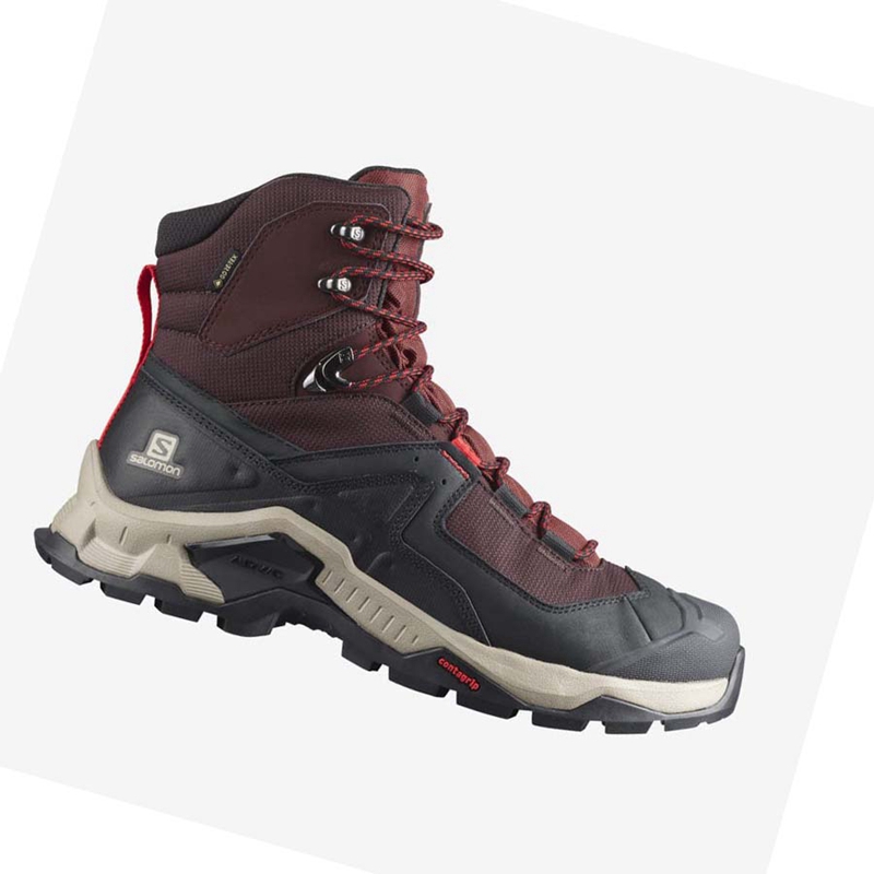 Salomon QUEST ELEMENT GORE-TEX Wanderschuhe Herren Grau Rot | EULINQP-01