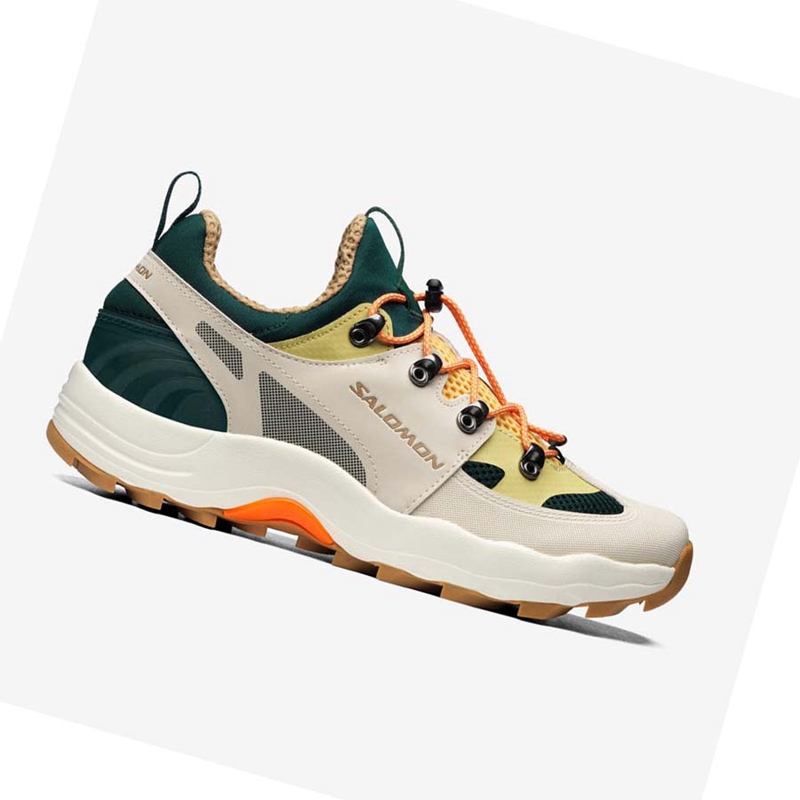 Salomon RAID WIND Sneakers Damen Beige | HFUJNGE-54